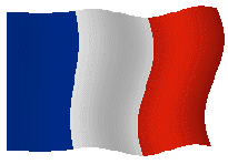 fr flag